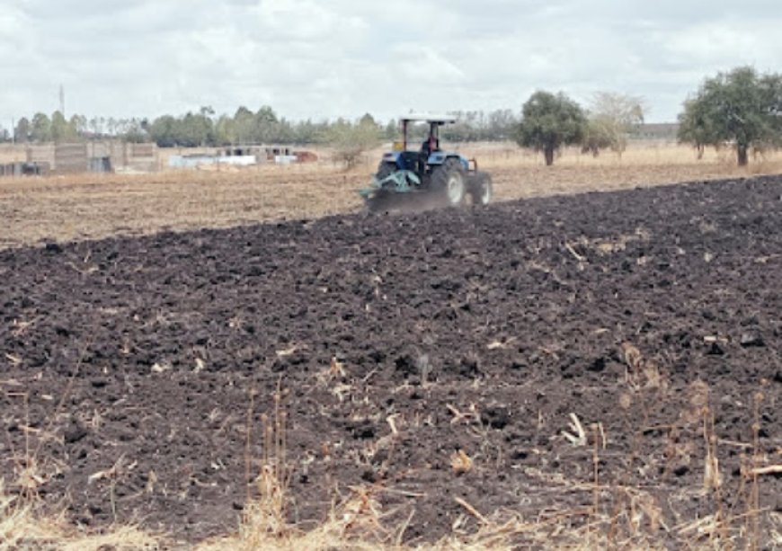 Farmers in Kajiado prepare land for planting