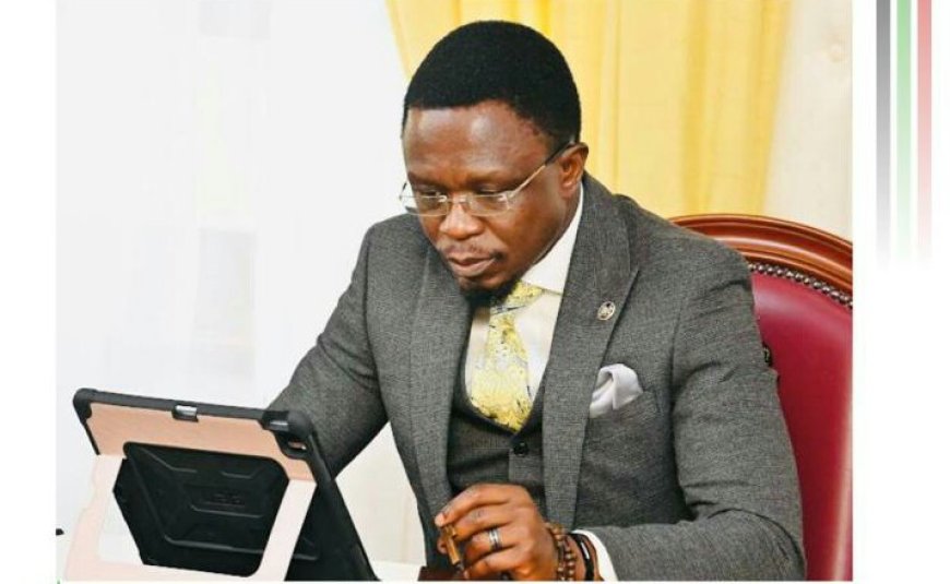 CS Namwamba appointed to United Nations global council