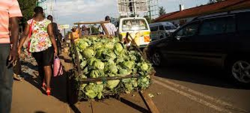 Siaya to collect farmers’ data for planning, budgeting and food security purposes