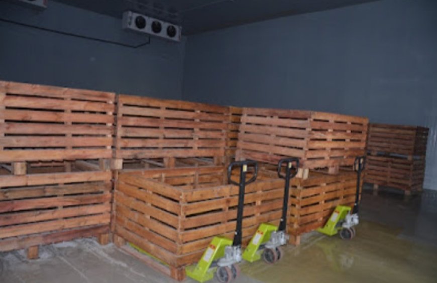 New cold storage facility in Nyandarua