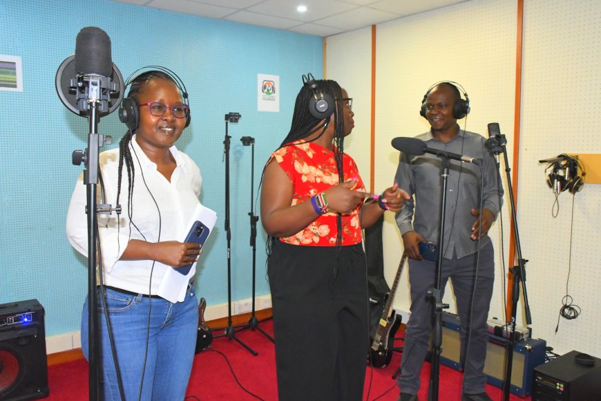 Committee pledges revamp of Studio Mashinani and innovation hubs