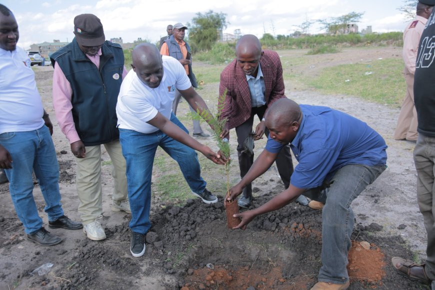 National Irrigation Authority to construct Sh25 million dam in Kyumbi