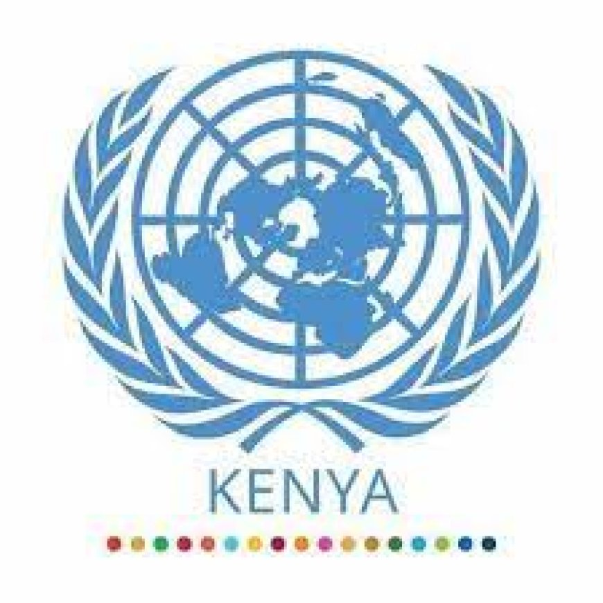 UN to Support Kenya Youth Unlock Their Potential