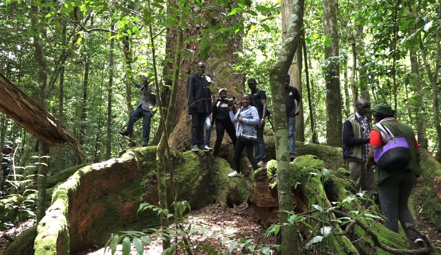 Forest community in Embu calls for support