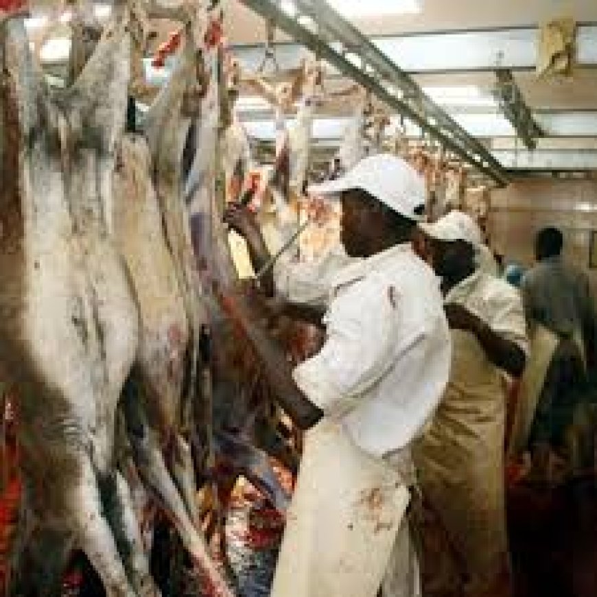 Donkey meat hawked in Hola Town