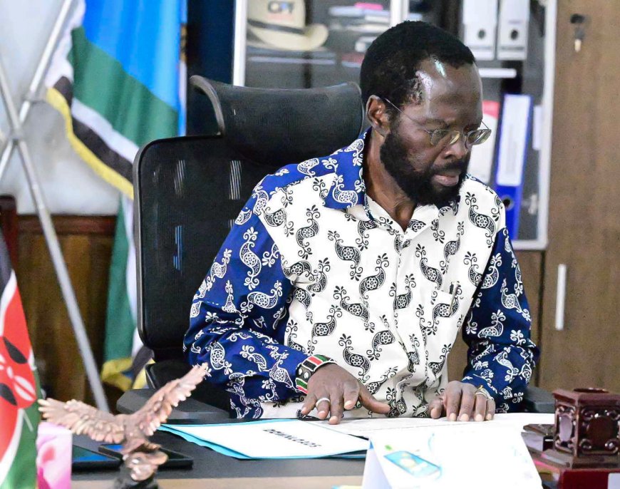 Nyong'o lands advisor role at United Nations