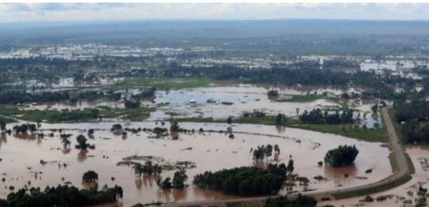 Take advantage of the upcoming rains to build a food secure nation