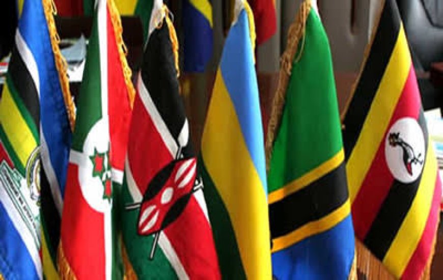 East African bloc explores new strategies to address health gap exposed by COVID-19