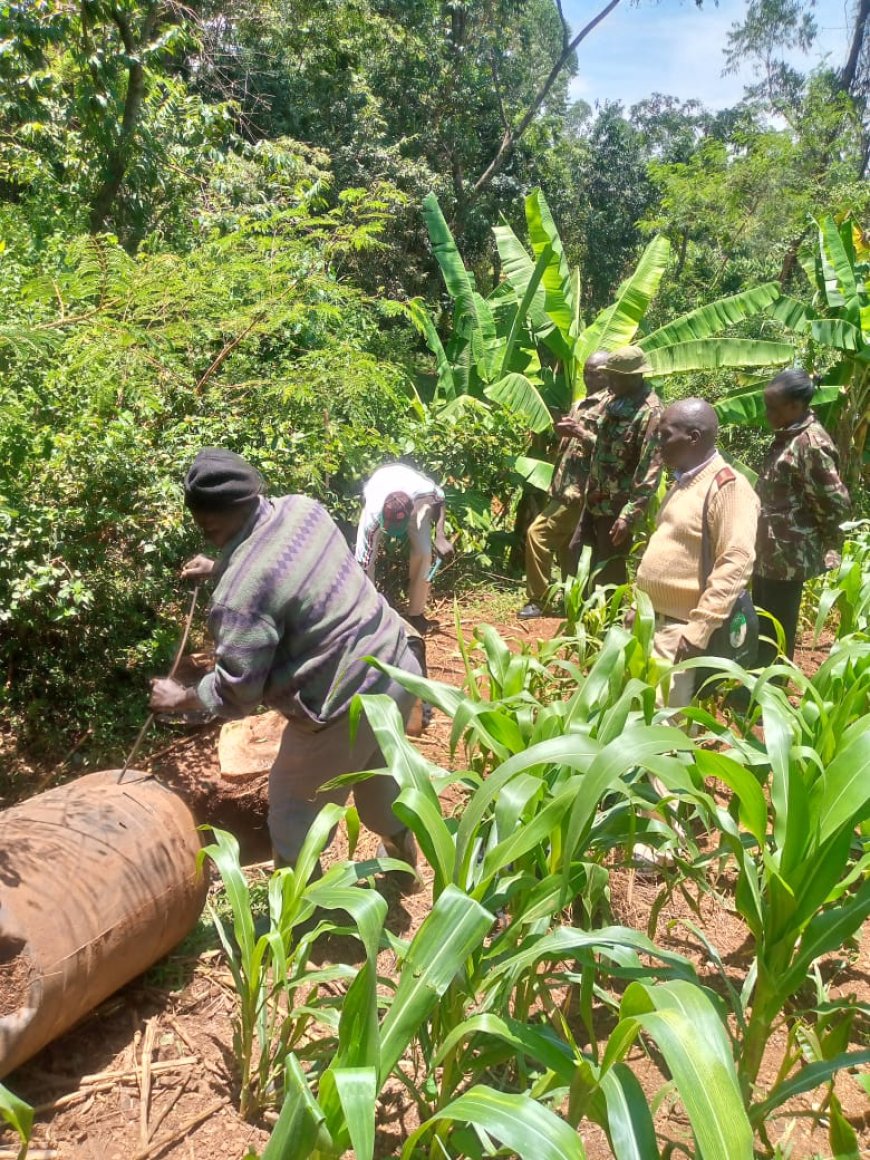 Efforts to fight illicit brews gains momentum