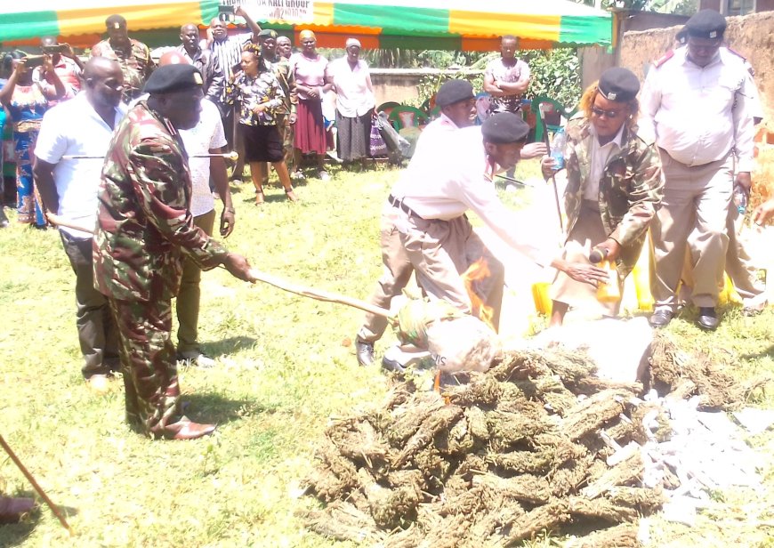 County Commissioner Leads Crackdown on Illicit Brews