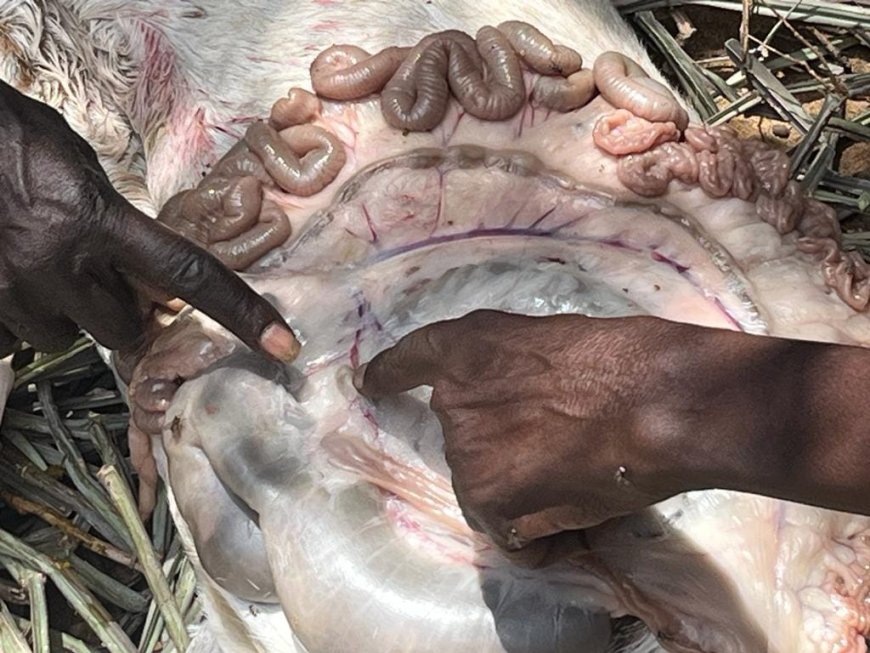 Turkana County identifies specific Wards prone to floods