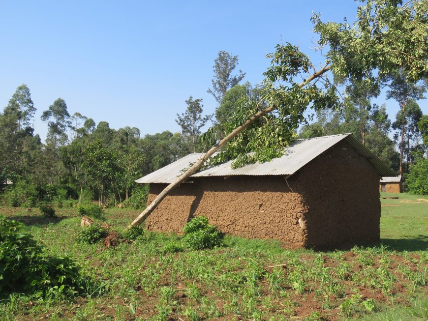 Wind destroys homes of over 40 families in Busia County