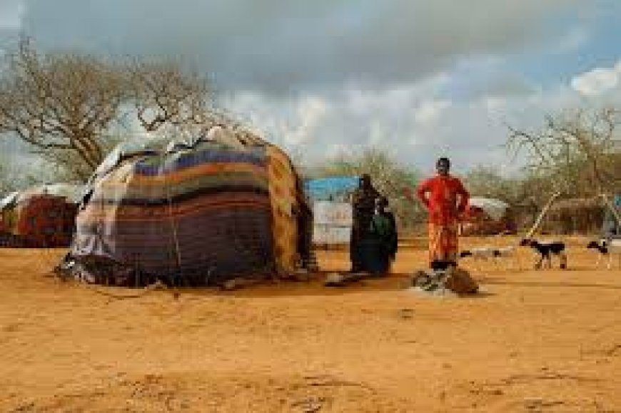 El Nino preparedness in Samburu