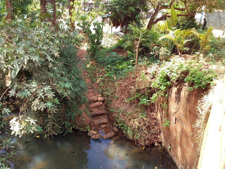 Farmers in Murang’a prepare for anticipated enhanced short rains