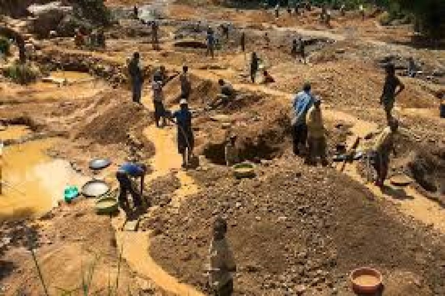 Government Reforms Artisanal Mining Activities