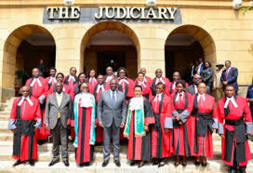 County Governments Have No Mandate to Establish Courts, Says Judiciary