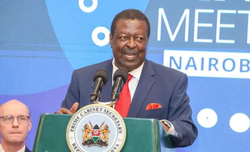 Mudavadi no longer a stranger in Cabinet - Manyora