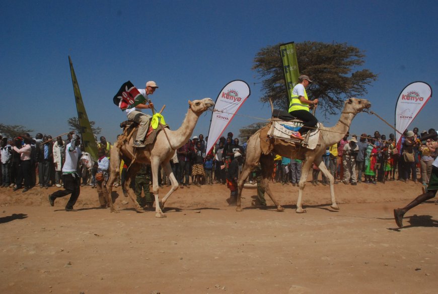 Maralal international camel derby makes a comeback after three-year break