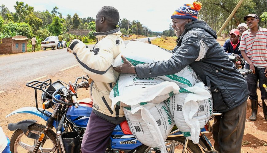 Farmers in Embu Receive More Subsidized Fertilizer