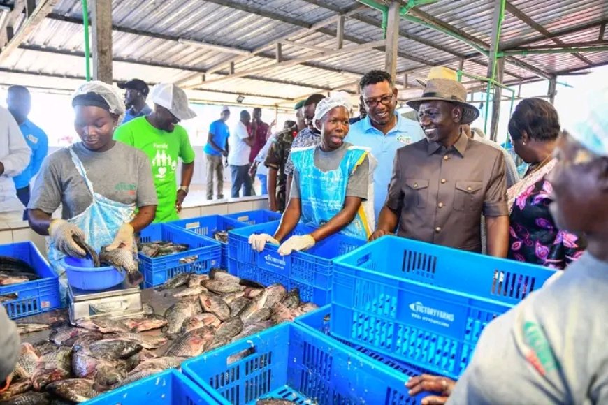 President Ruto issues Victory Farm permit of operation