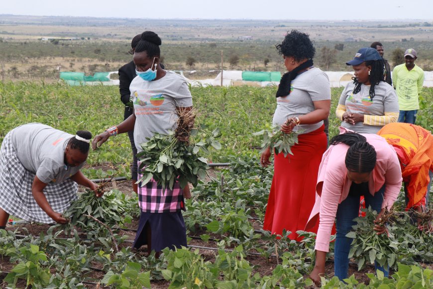 Women group embraces climate smart agriculture