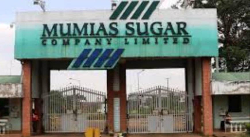 Call to waive debts owed by Mumias Sugar Company