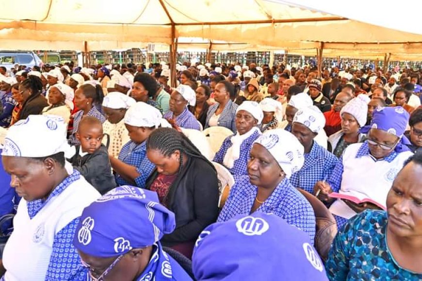 Leaders and farmers want higher prices for their maize crop