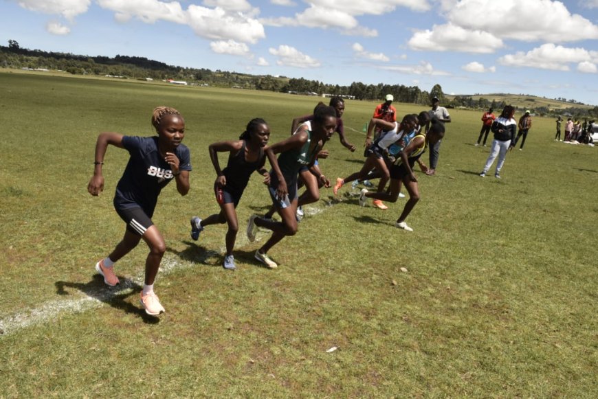 Nyandarua bids to host national cross-country trials