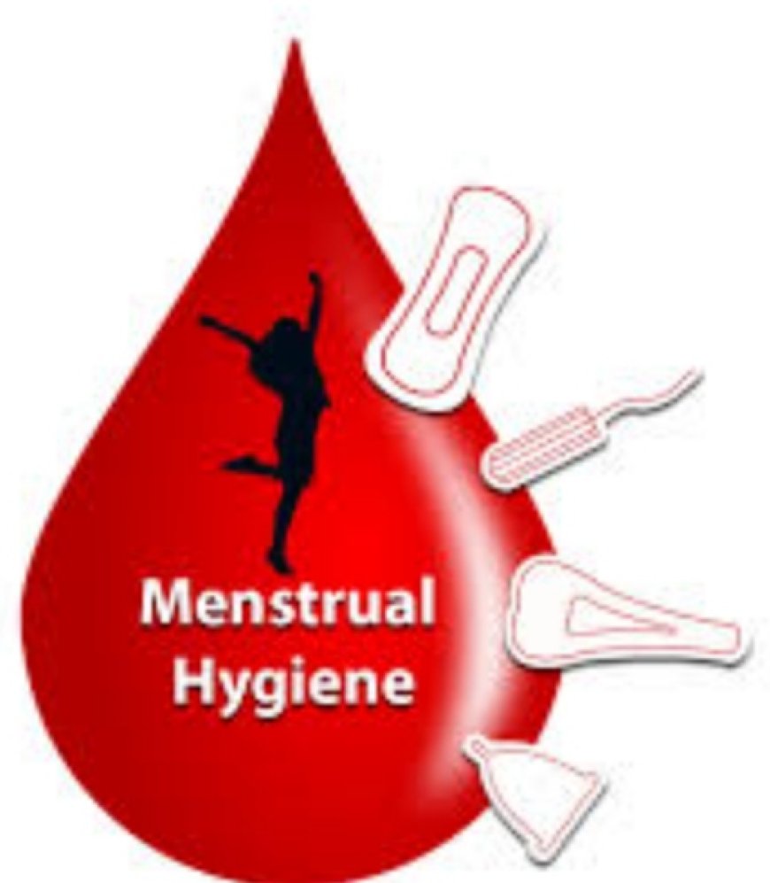 Activists call for mainstreaming of menstrual hygiene