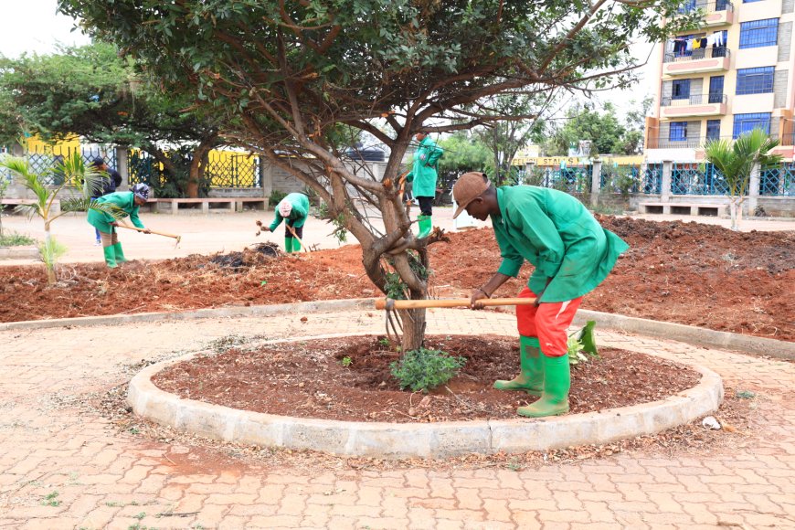 Beautification of Mama Ngina Gardens Recreational Park in Thika commences