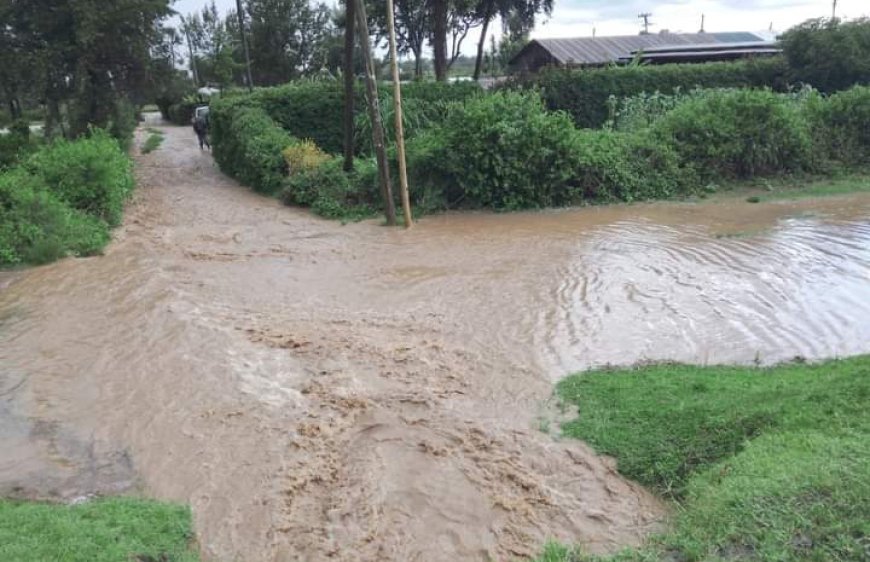 Weatherman calls for patience as country awaits El Nino ‘downpour’