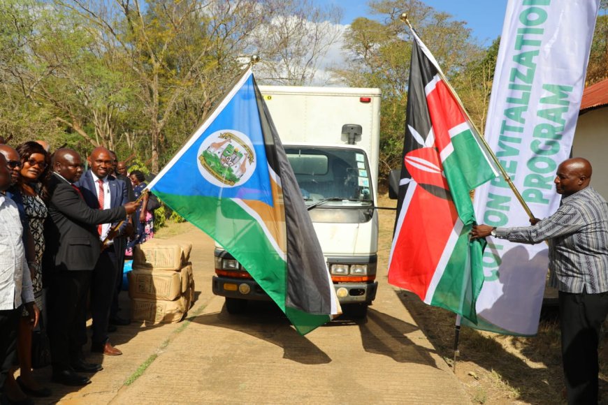 The government distributes Cotton hybrid seeds to Kitui farmers