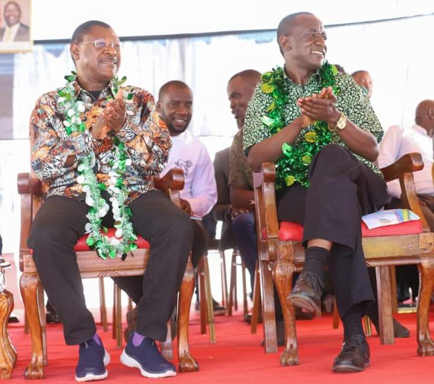 Wetang'ula wants education of boy child prioritised