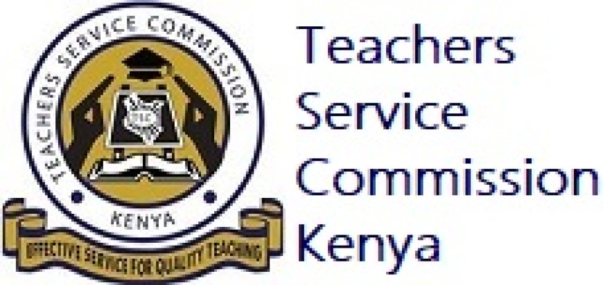 Teachers Service Commission urged not to be employing teachers as interns