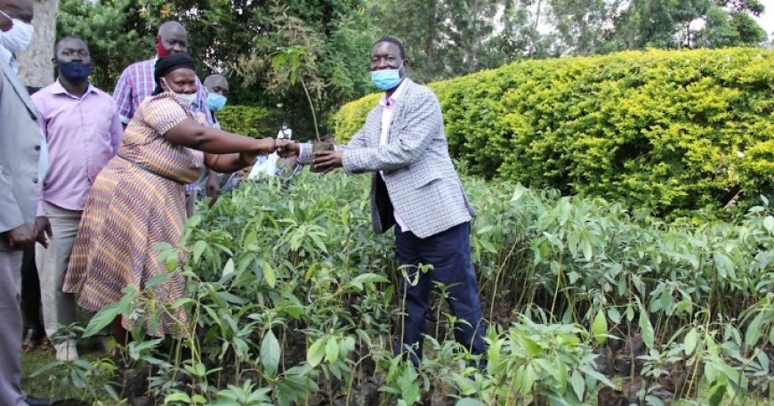 MP pledges to support school tree planting programmes