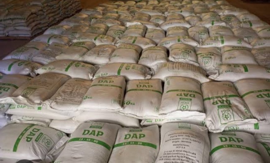 Marakwet East Farmers Receive 600 Bags of Subsidized Fertilizer