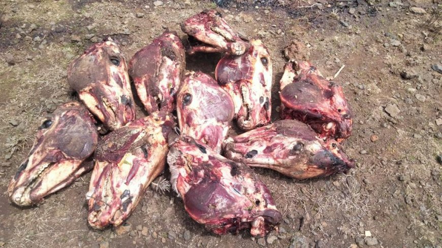 Ngobit residents cautioned over the sale of Donkey meat