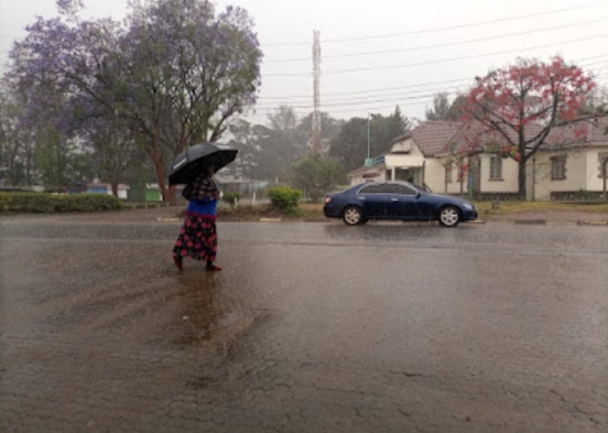 Joy for Nyeri farmers and residents as rains finally come down