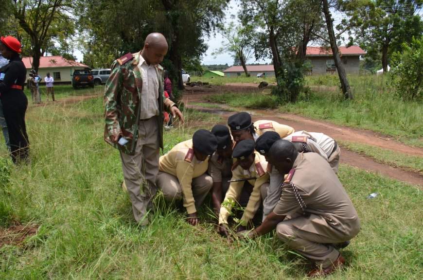 Migori residents urged to plant indigenous trees to maintain forest cover