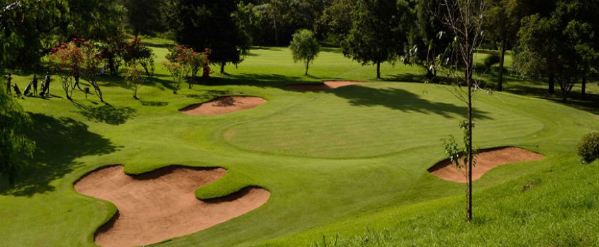 Young golfers compete at the Sigona US Kids local tour tournament