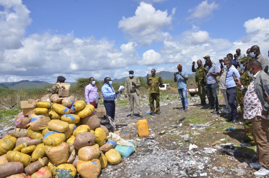 Court Users Committee destroy Bhang worth Sh 9.53 million in Moyale