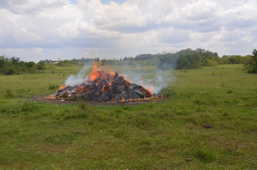 Bang and Methanol Smuggling on the Rise in Migori