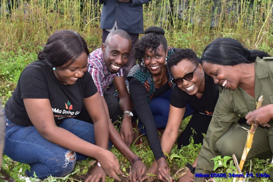 Nakuru County Committed to Securing Forests for Posterity