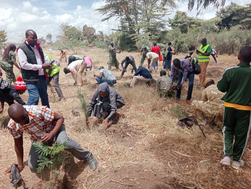 Schools to plant 200 million trees annually