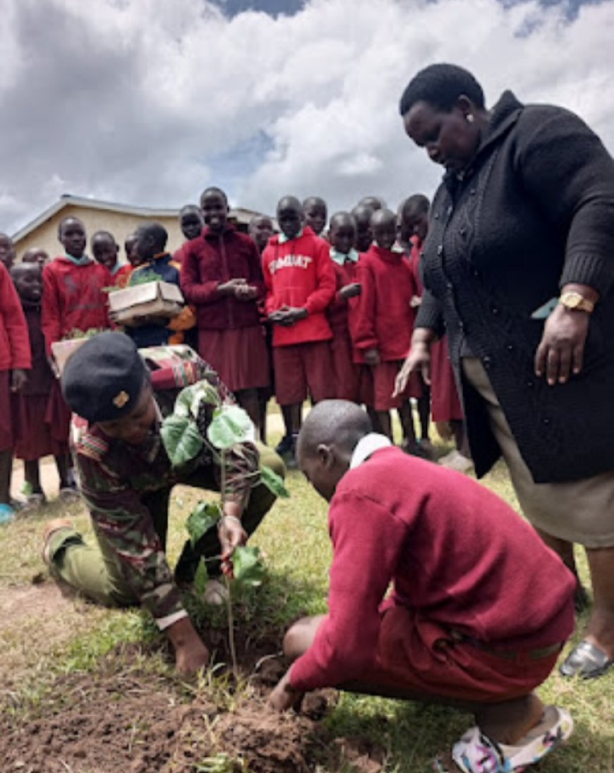 Students plant 800 trees prior to national examinations for commemoration