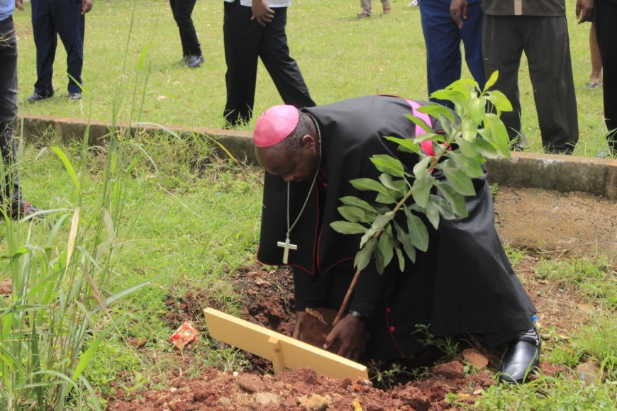 Catholic Diocese of Murang’a targets to plant 600,000 trees