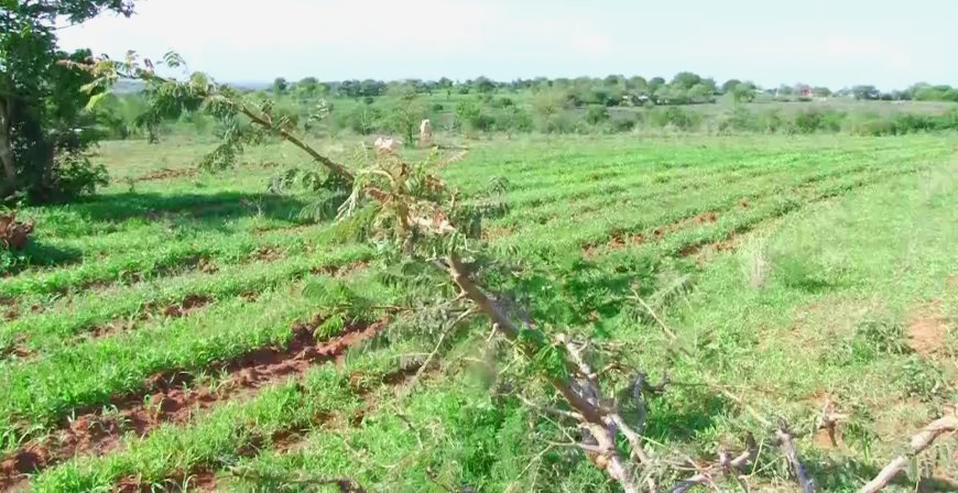 No one will be evicted, squatters in Embu assured