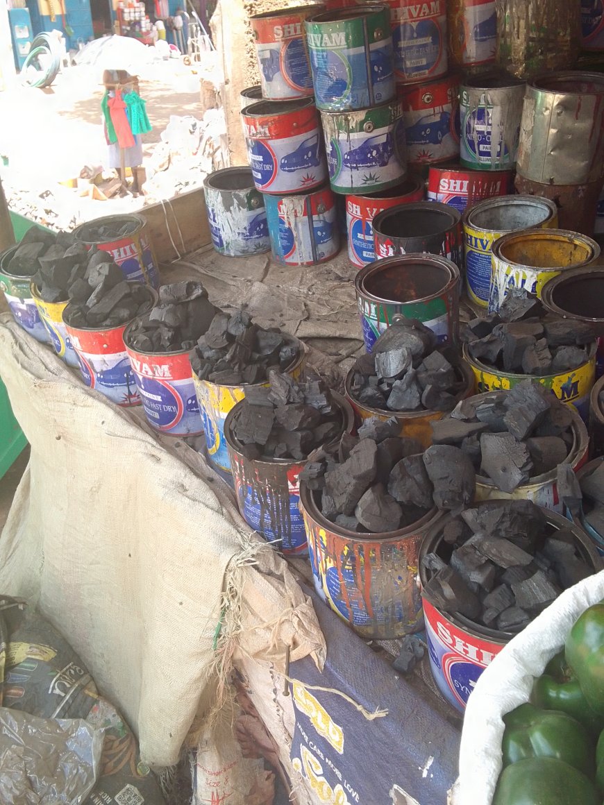 Murang’a woman makes a living as a charcoal vendor