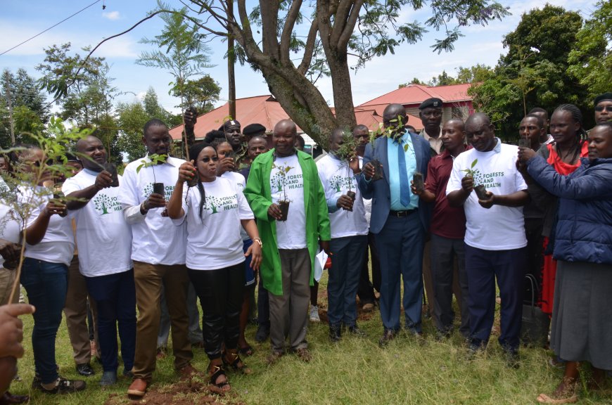 Migori residents urged to utilize short rains to plant more trees