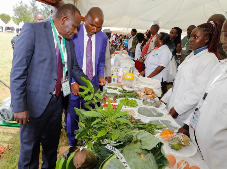 Governor advises farmers to utilize cereal stores to minimize post-harvest losses